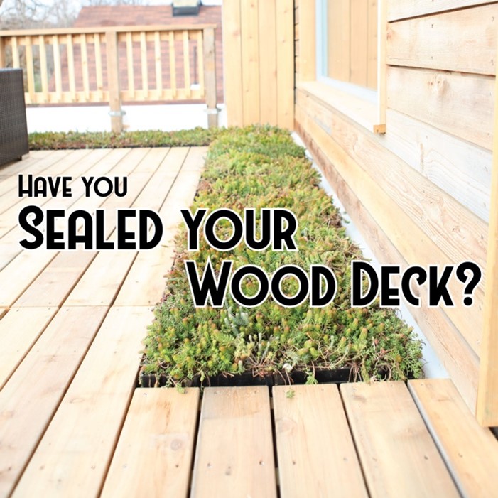 deck sealer