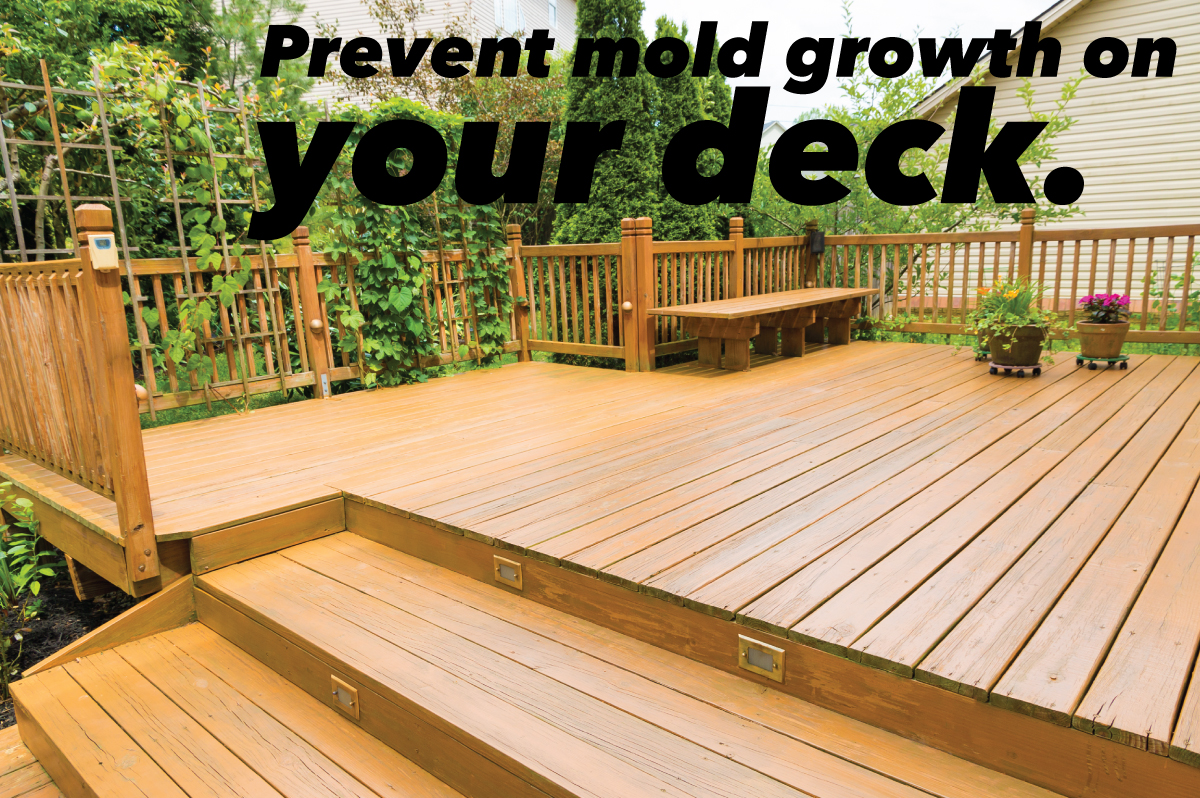 prevent deck mold